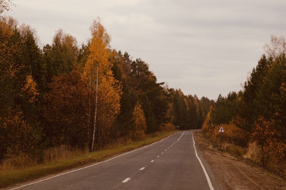 Photograph by Oksana