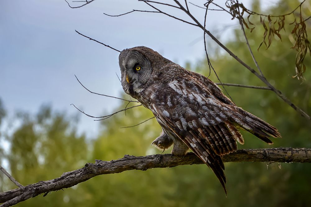 Photograph by Александр Шипиленко