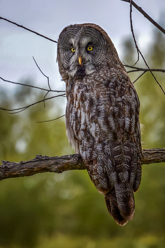 Photograph by Александр Шипиленко