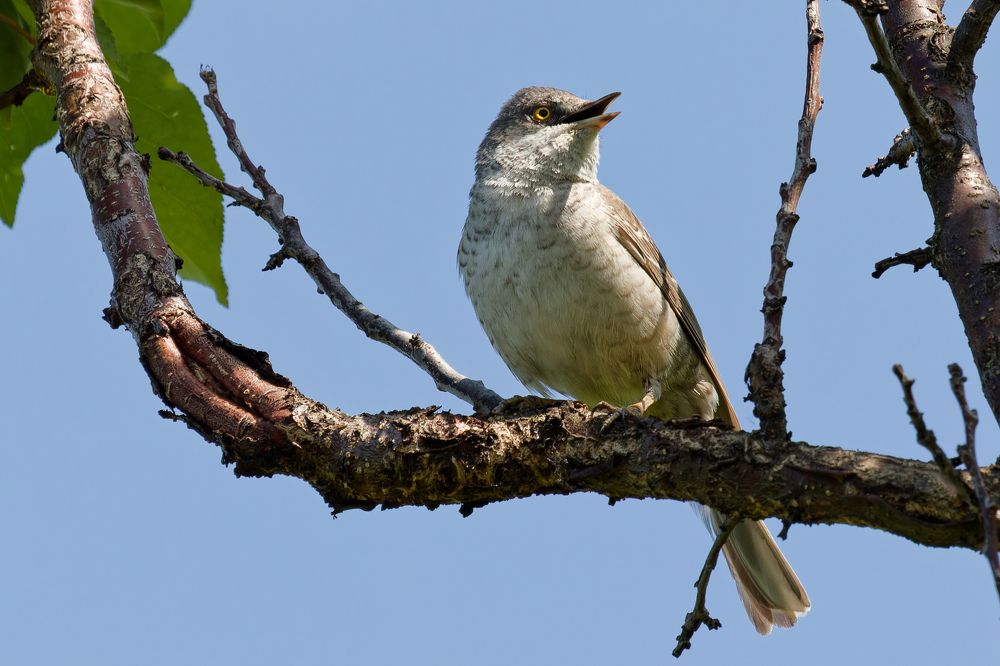 Photograph by Андрей Иванов