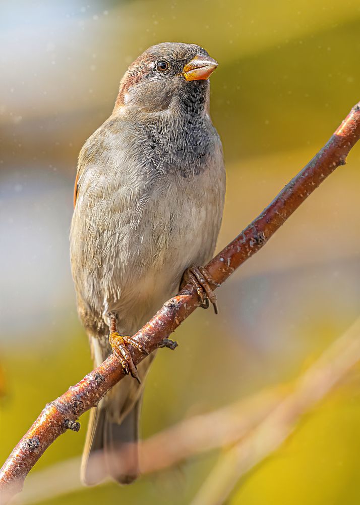 Photograph by Олег Белан