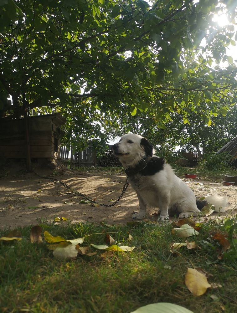 Photograph by Екатерина Борисовна Кузьмина