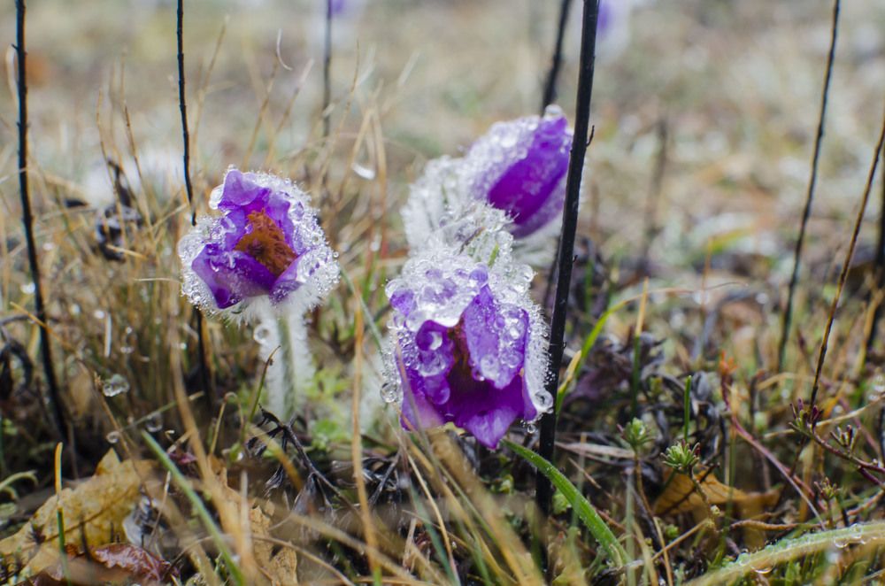 Photograph by Юрий Юрченко