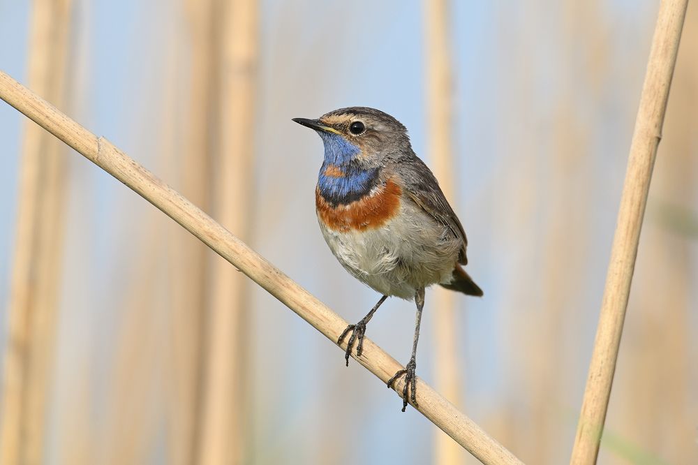 Photograph by Анатолий Садовский