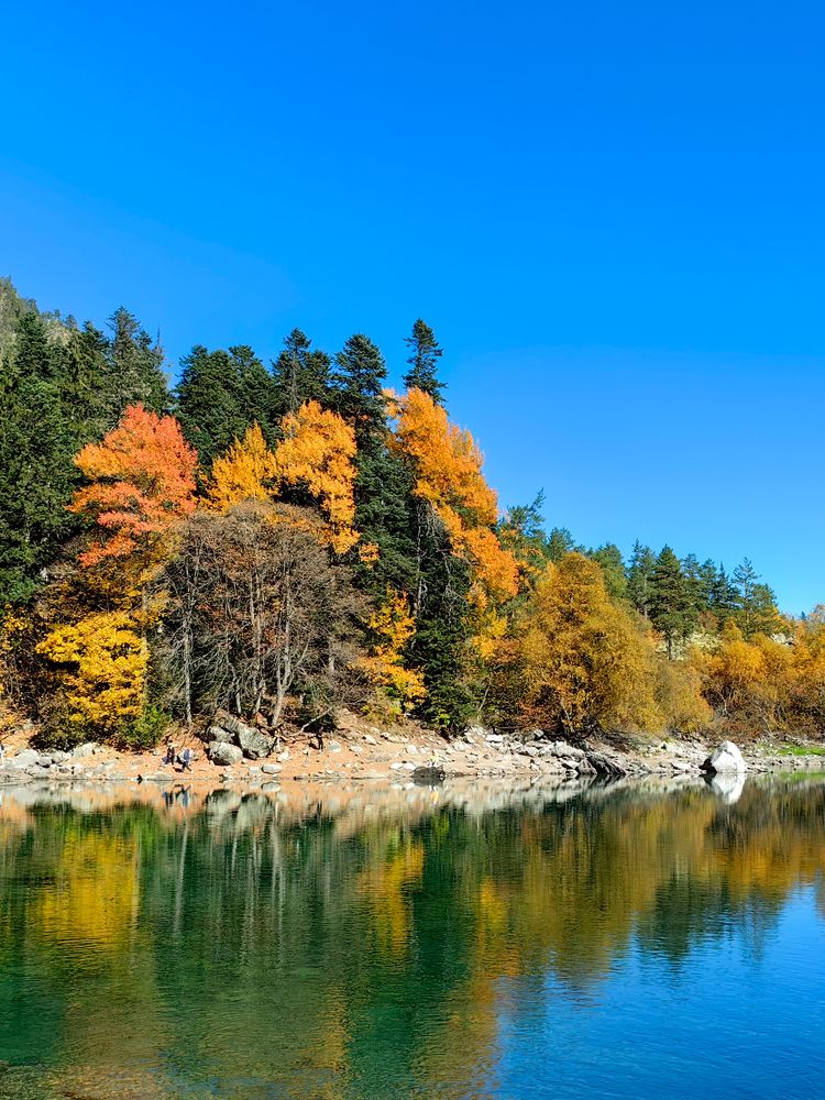 Photograph by Igor M.