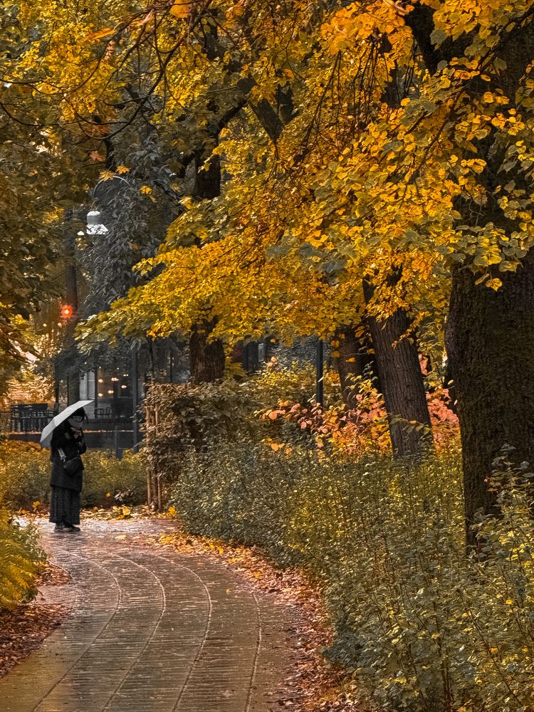 Photograph by Alessio D Addato