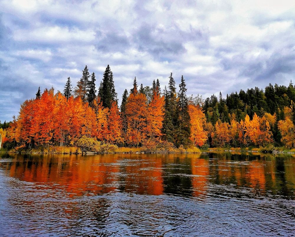 Photograph by Елена Артёменко