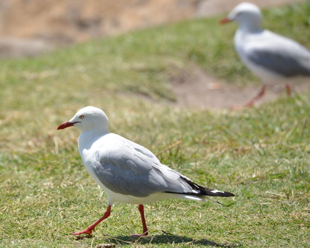 Photograph by Игорь Двойных