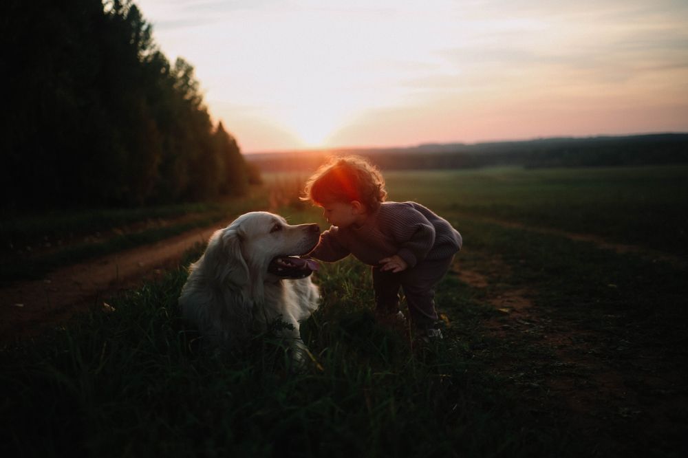 Photograph by Гребенева Мария