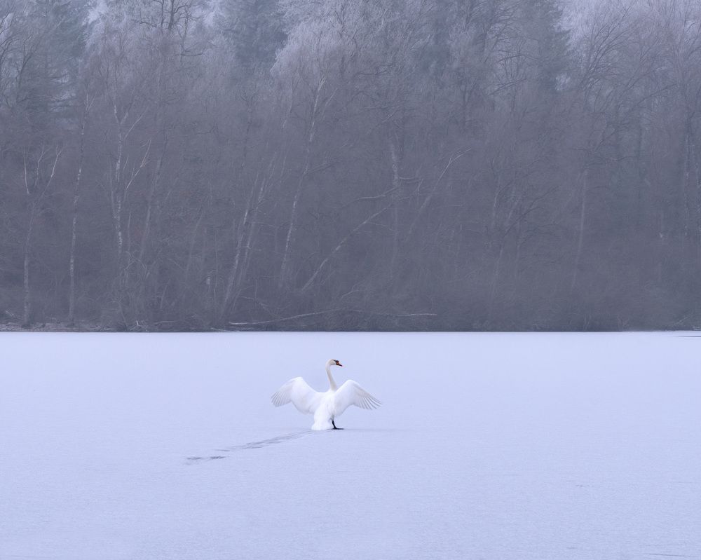 Photograph by LYUDMYLA POKRYSHEN