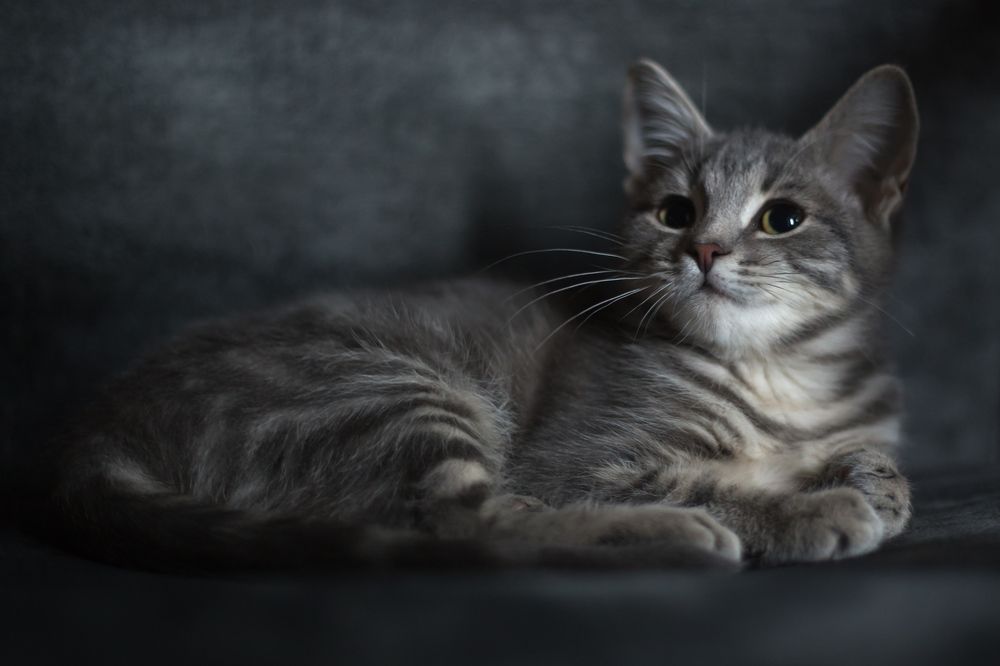 Photograph by Сергей Алексеев