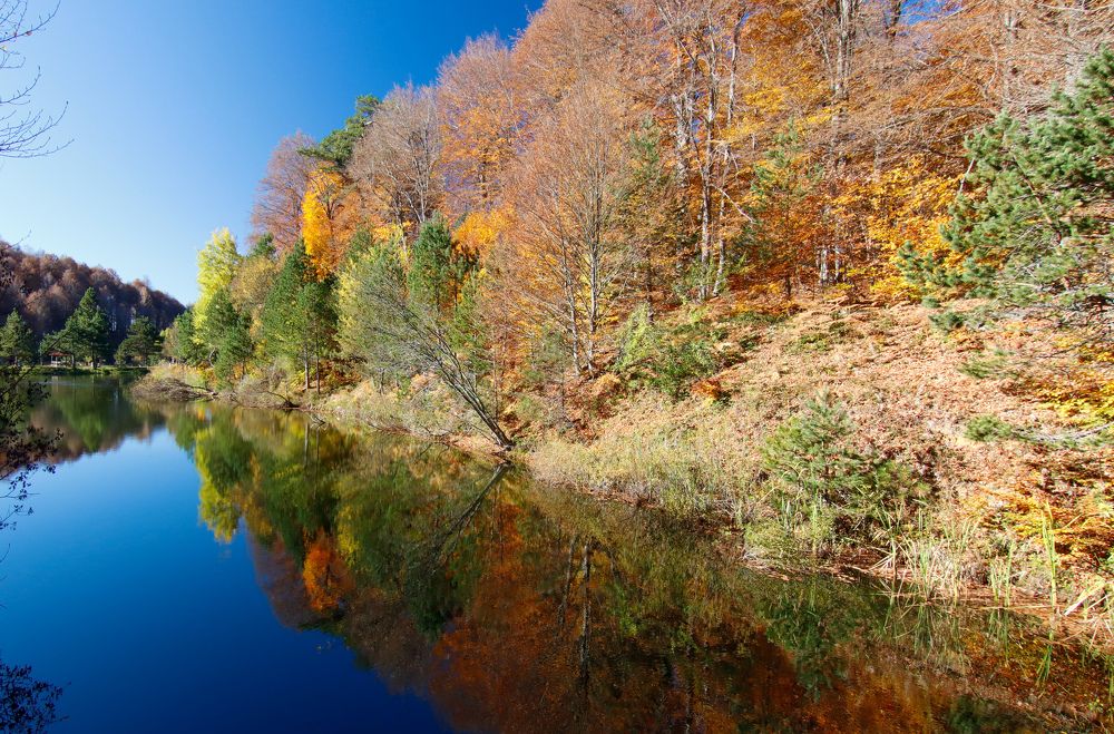 Photograph by Yakup Temel