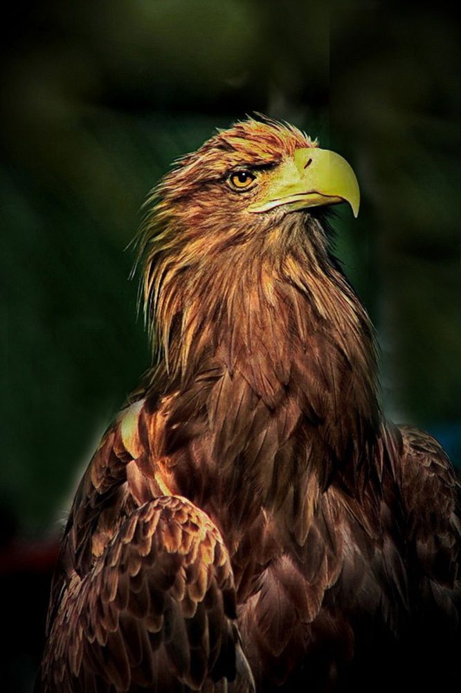 Photograph by Вадим Гераскин