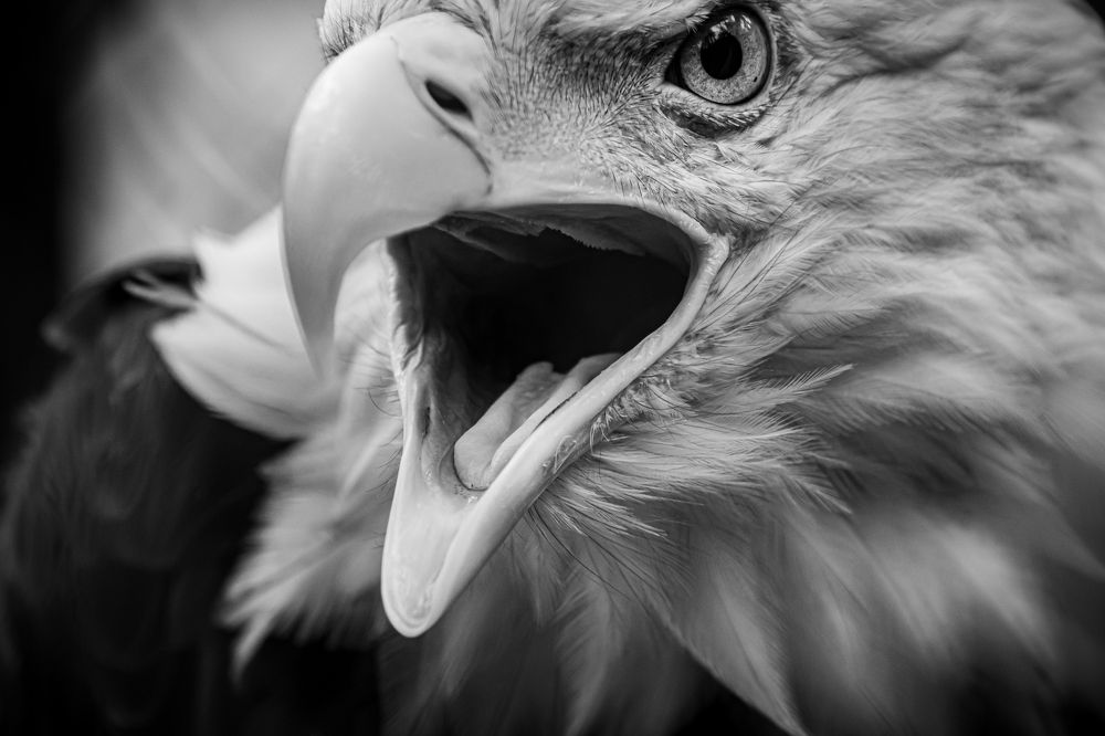 Photograph by Елена Берсенёва