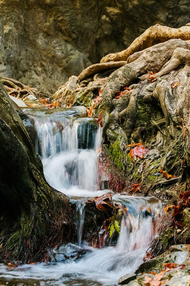 Photograph by Павел