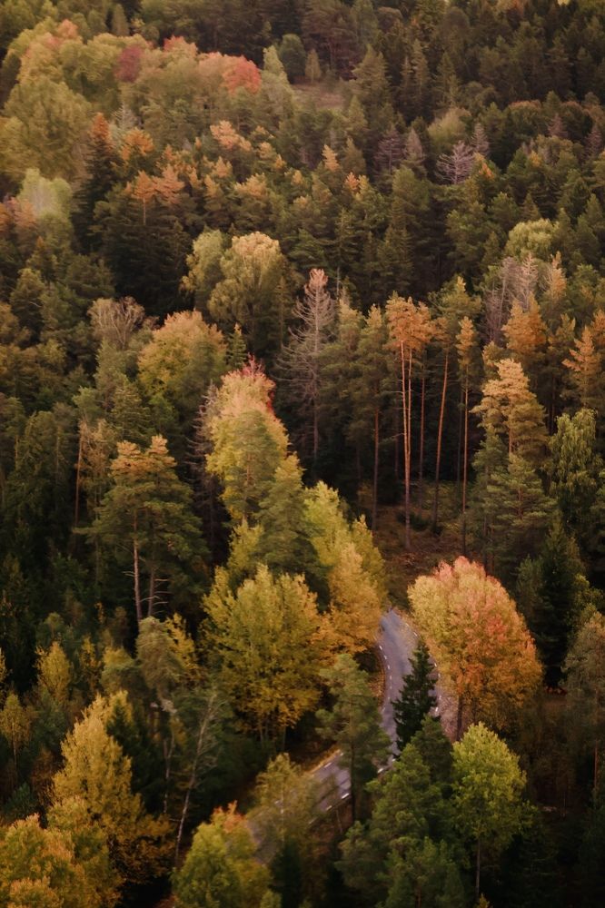 Photograph by Евгения Казакова