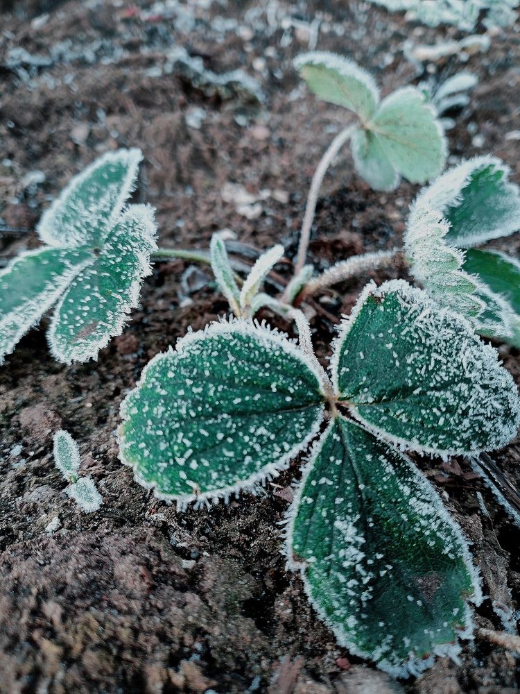 Photograph by Светлана Середина