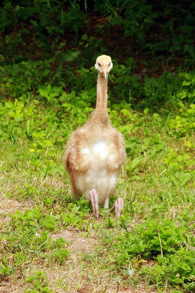 Photograph by Павел