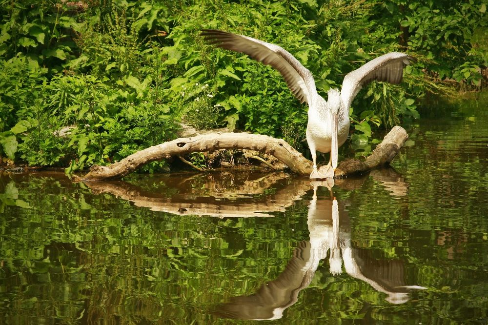 Photograph by Павел