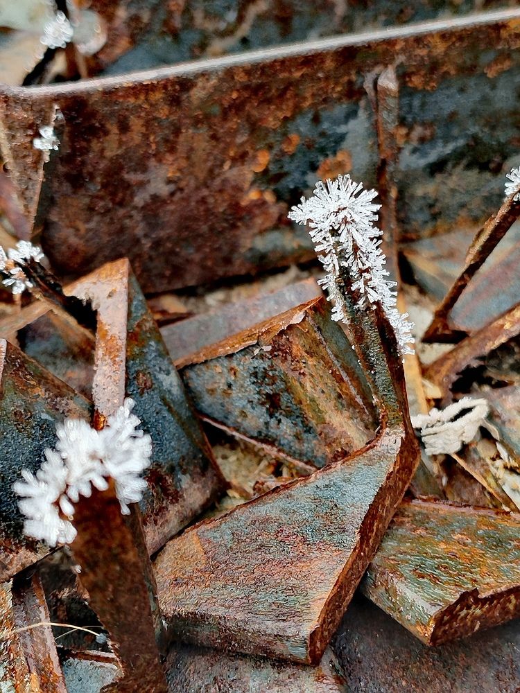 Photograph by Светлана Середина