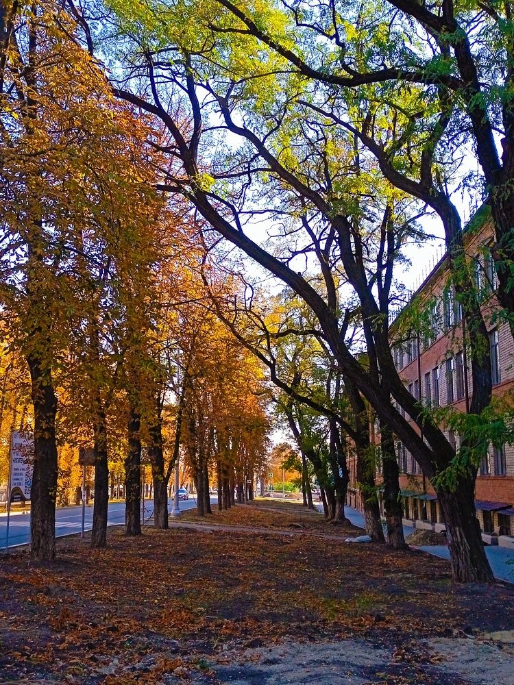 Photograph by Наталья Назаренко