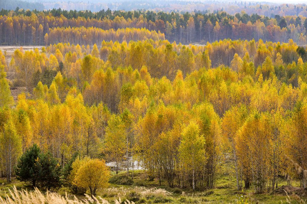 Photograph by Эдуард Шадров