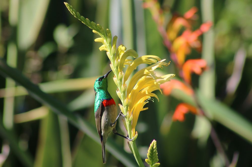 Photograph by Luciana Macedo