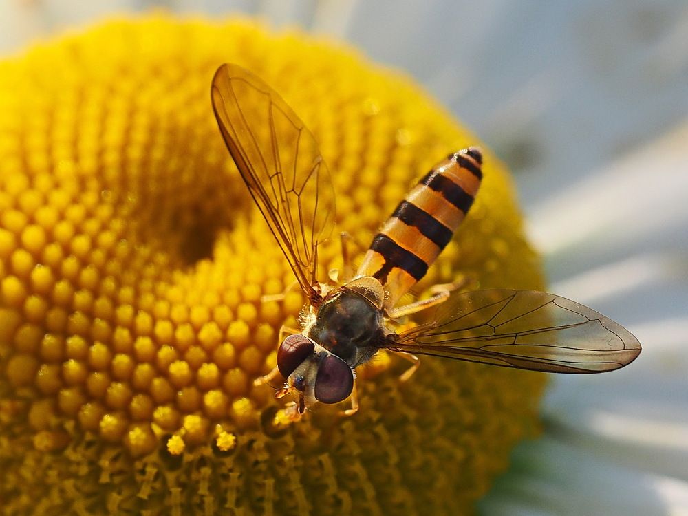 За работой.