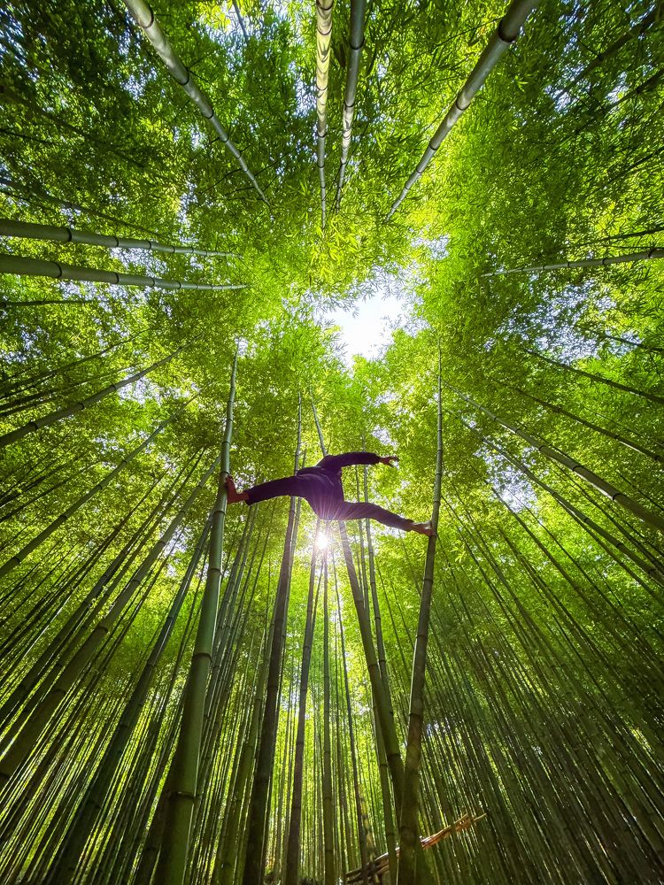 Photograph by Tran Phuong