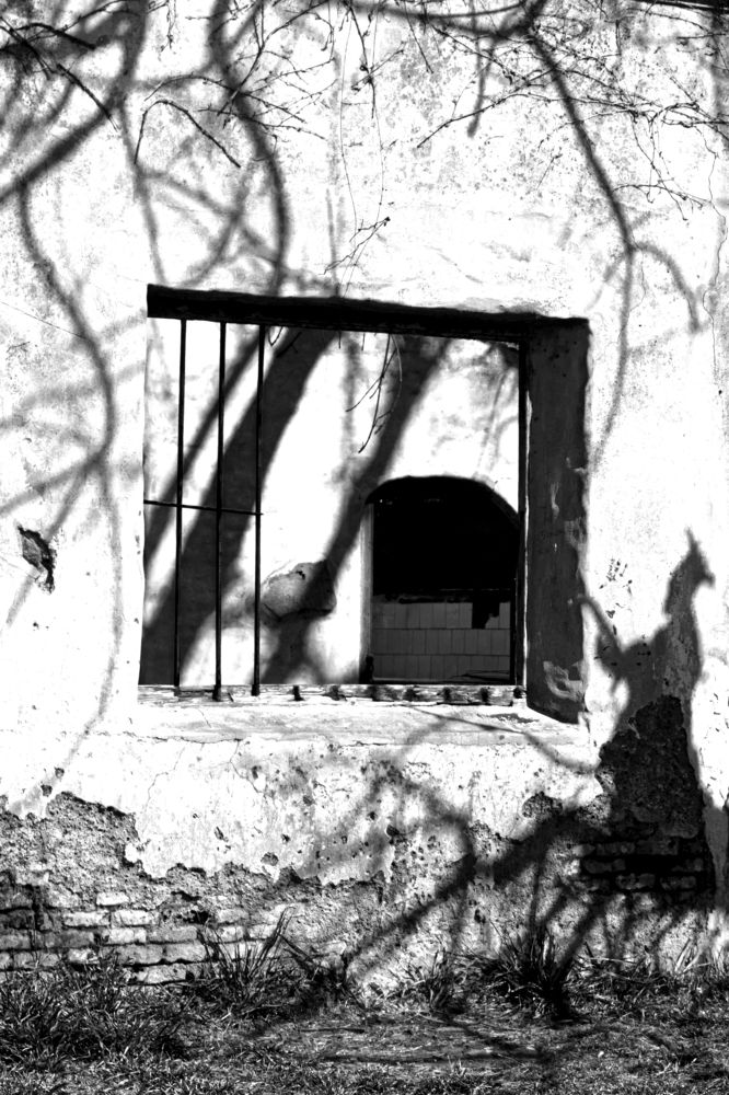 Photograph by Nelly Rond