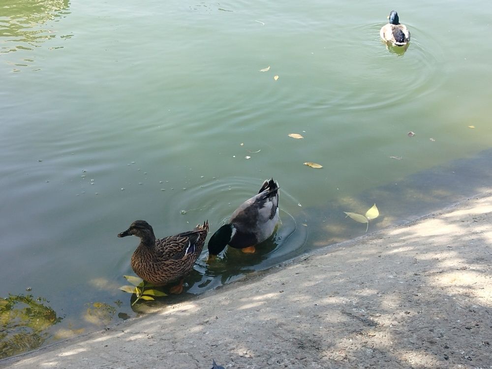 Photograph by Анна Лагун