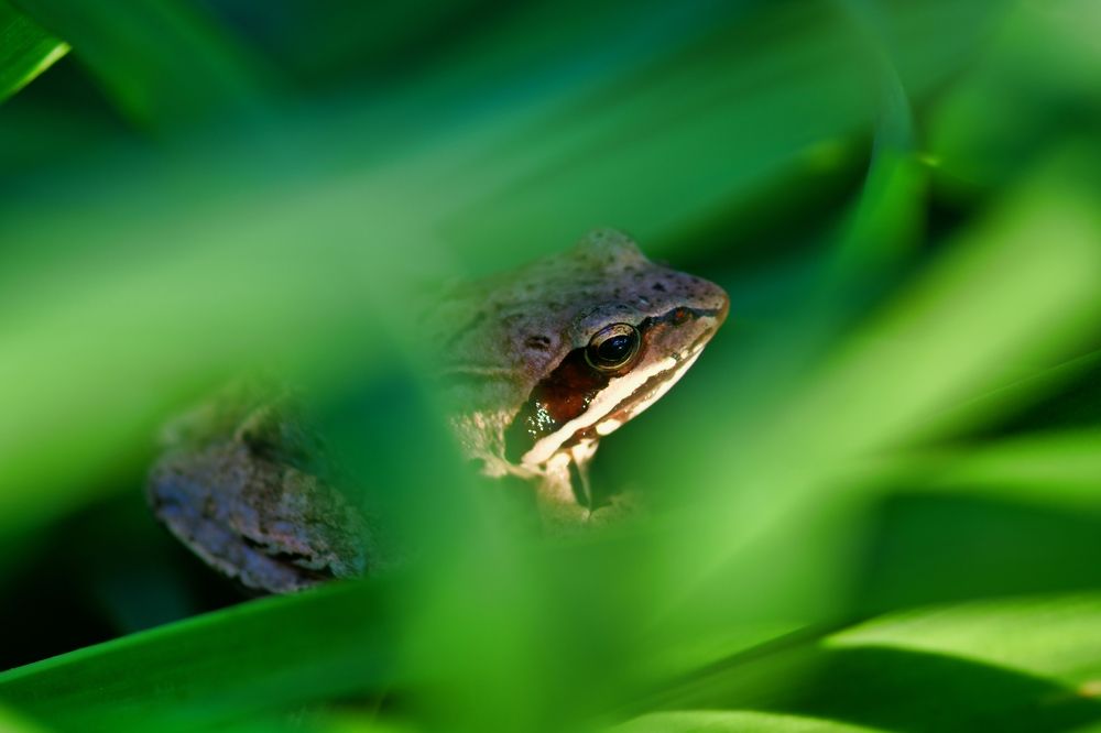 Photograph by Nomorenicknames