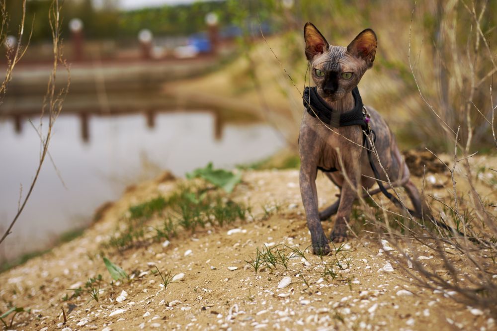 Photograph by Игорь Федянин