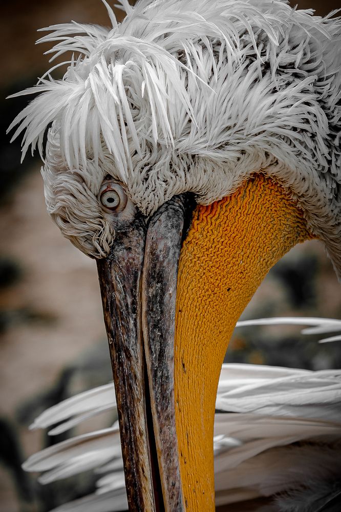 Photograph by Дмитрий Казачек