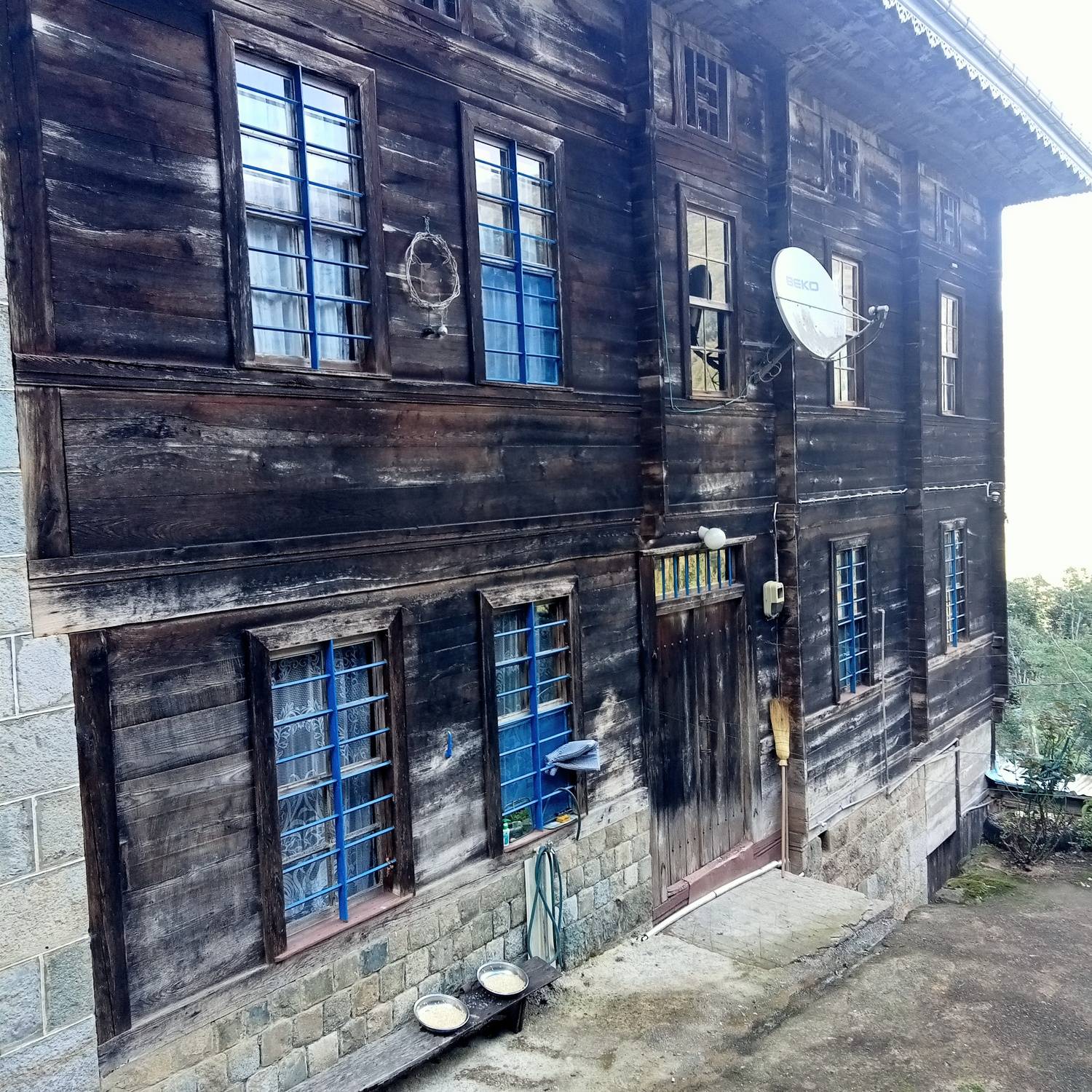 Photo #11153470