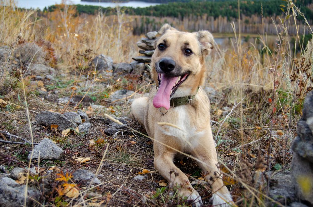 Photograph by Светлана Кудянова