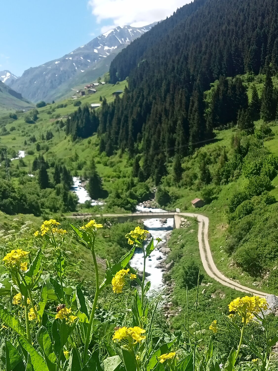 Photo #11153545