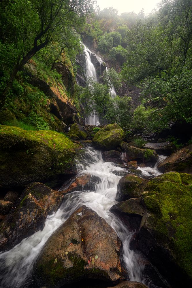 Spring’s Last Breath