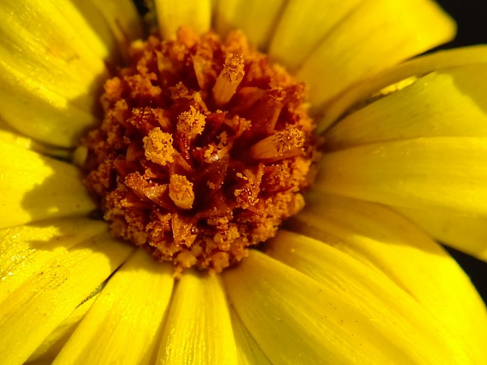 Photograph by Александр Казачек