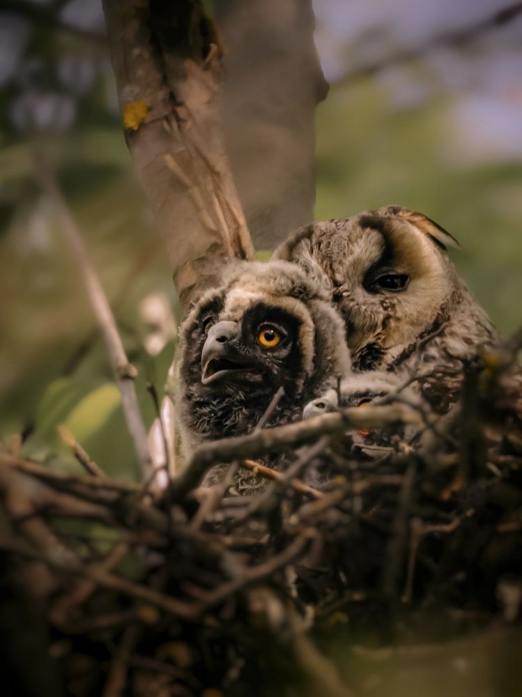 Photograph by Yuliya Karpova