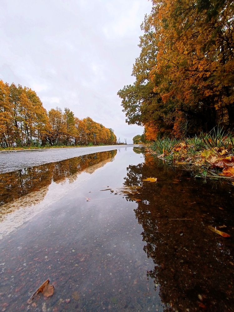 Photograph by Olga Kot