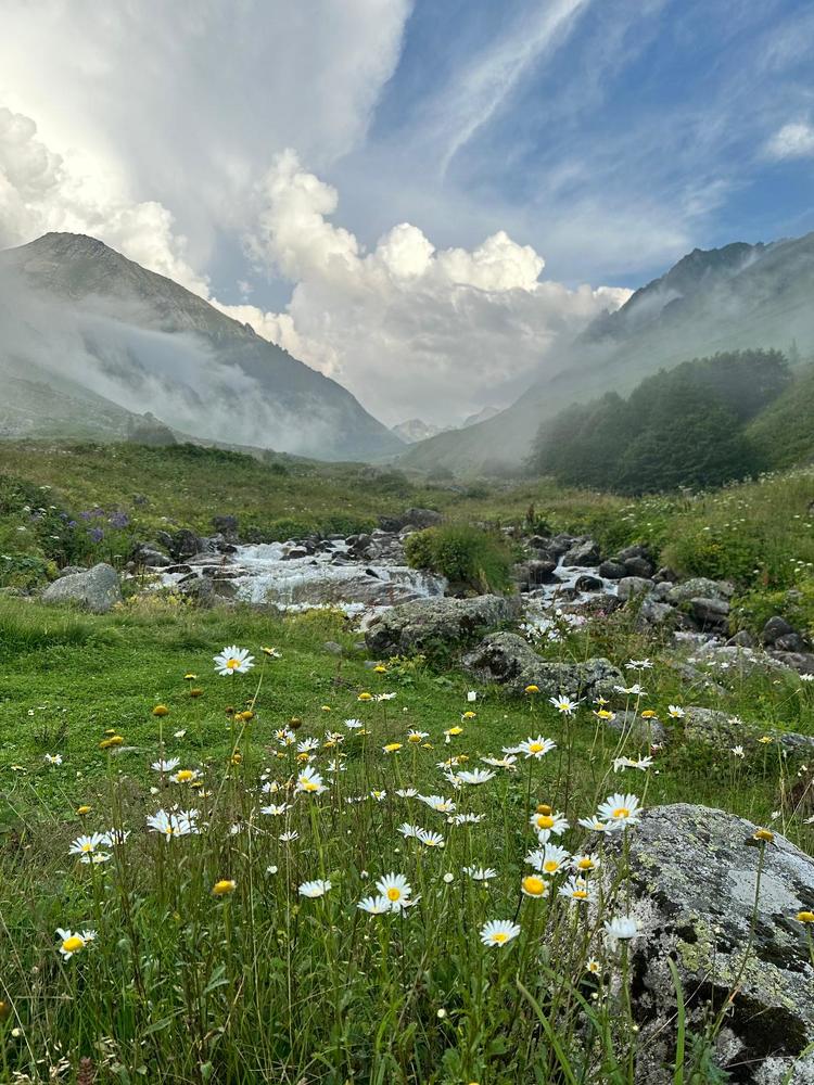 Photograph by Sönmez gültekin