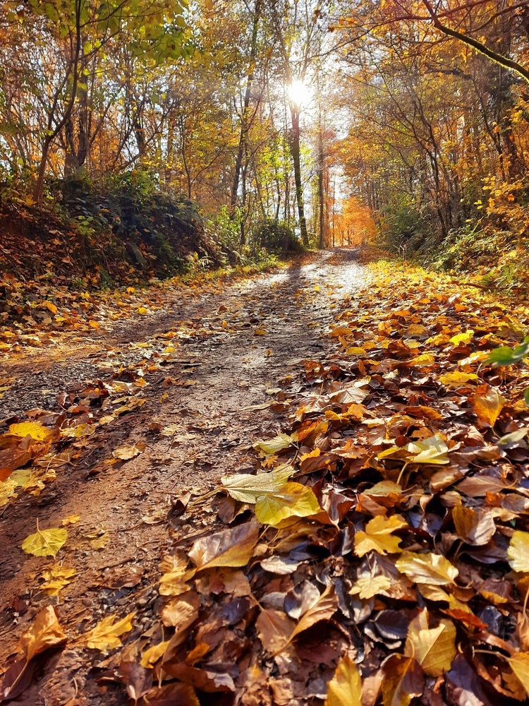 Photograph by Катерина