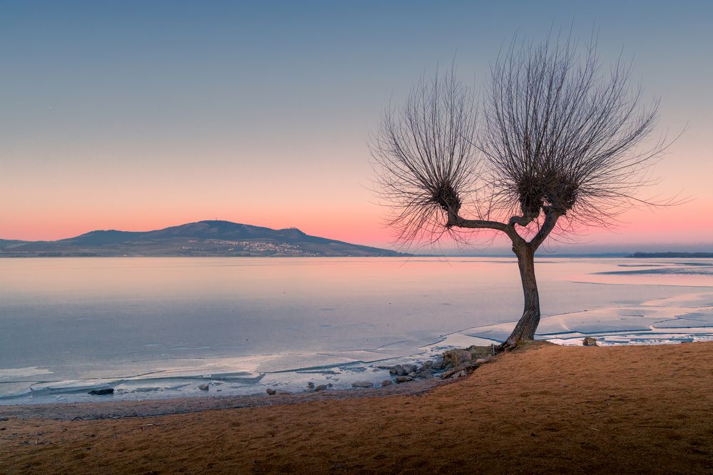 Photograph by Michal Krejčíř