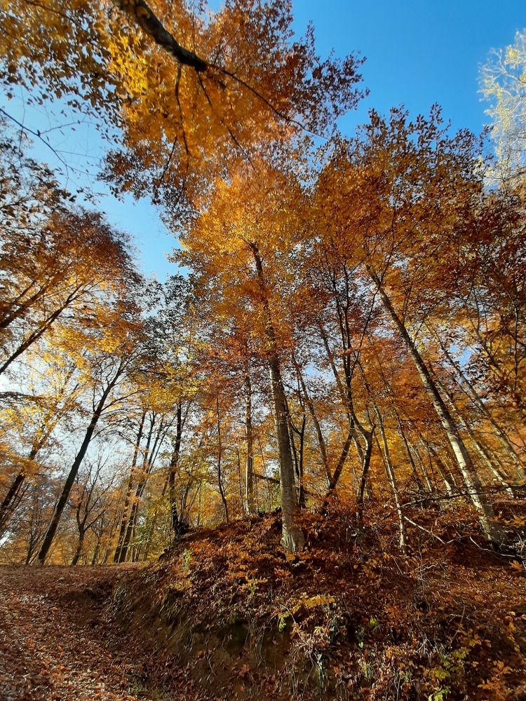 Photograph by Катерина