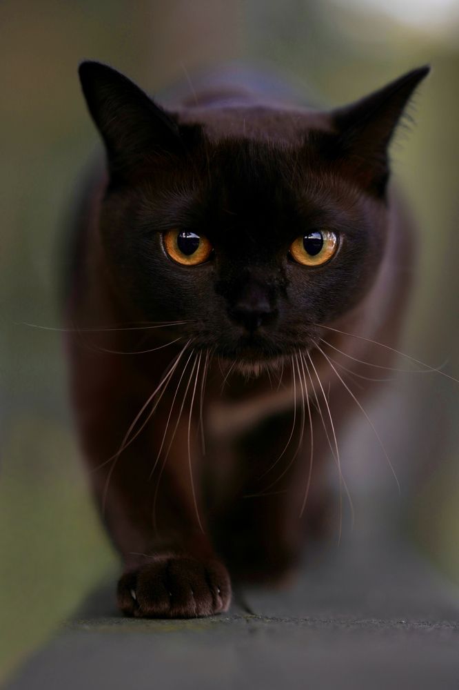 Photograph by Инга Добрынина