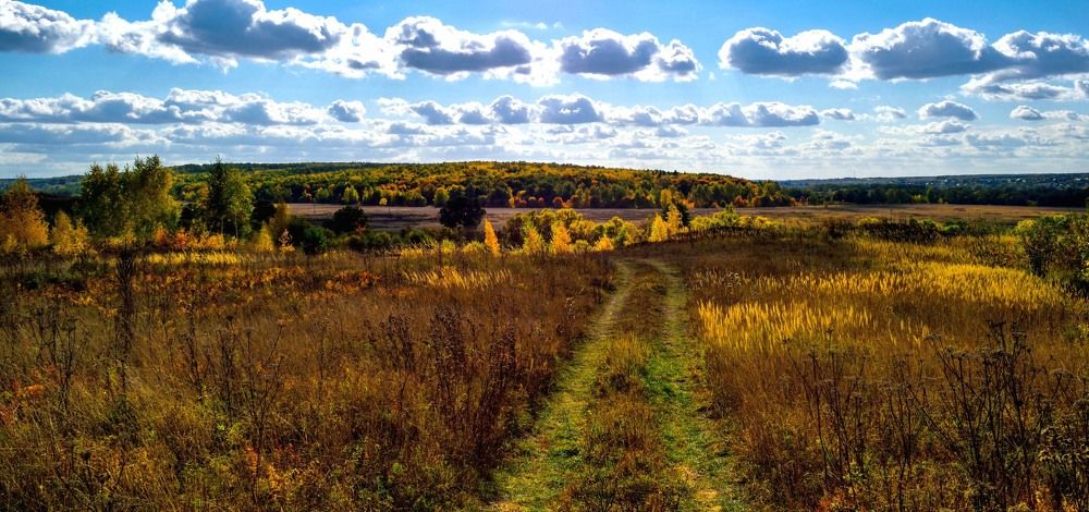 По осенней дороге