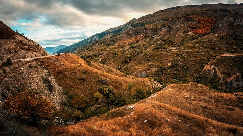 Photograph by Aleksandr Solovev