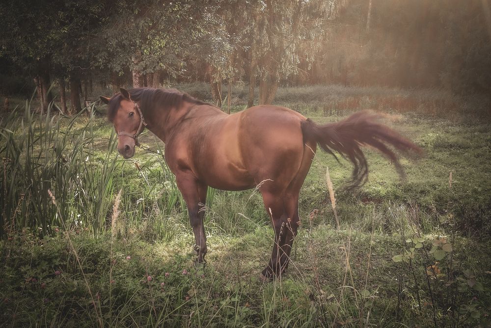 Photograph by Екатерина Никитина