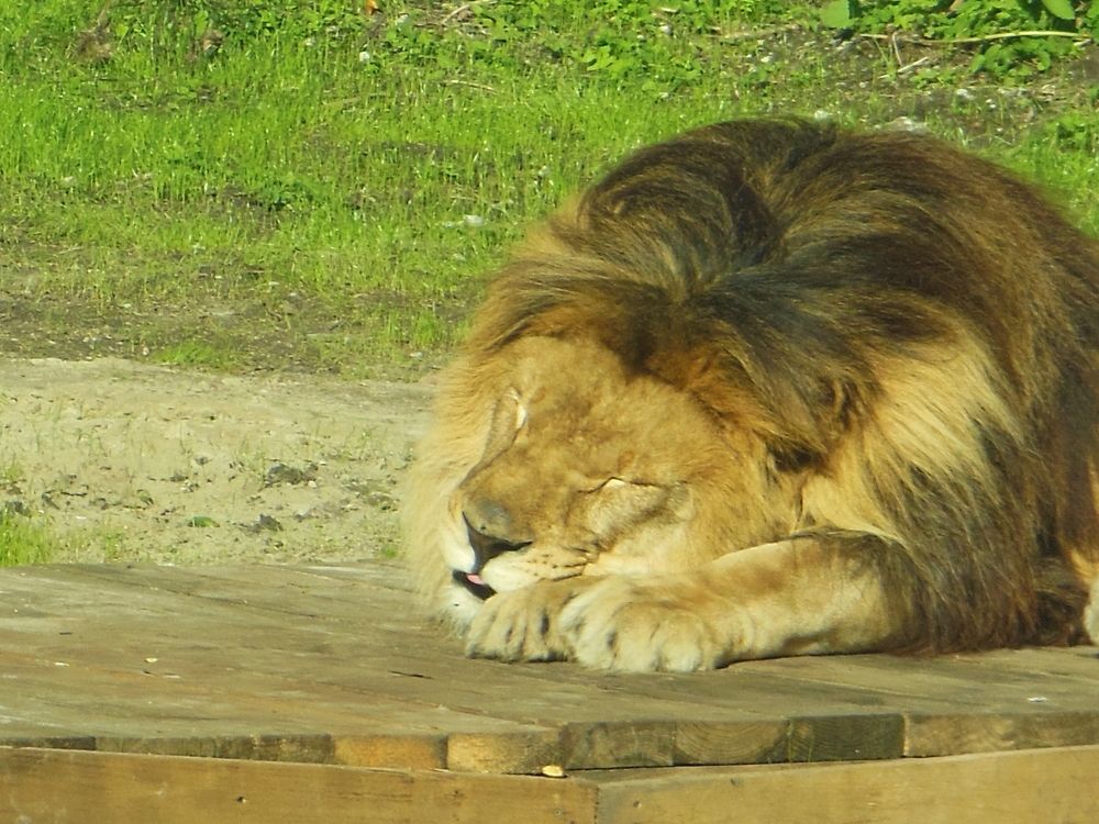 Photograph by Толстошеев Владимир